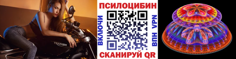 Купить закладки  Сусуман  Галлюциногенные грибы Cubensis 